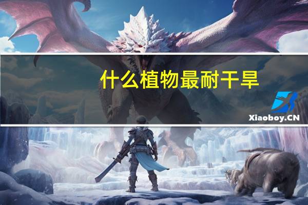 什么植物最耐干旱