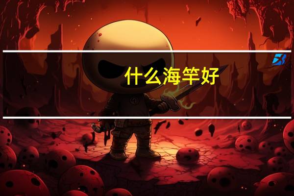 什么海竿好