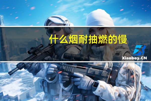 什么烟耐抽燃的慢