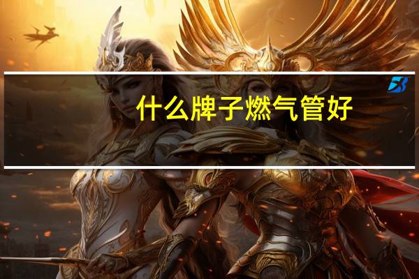 什么牌子燃气管好