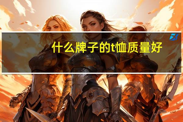 什么牌子的t恤质量好