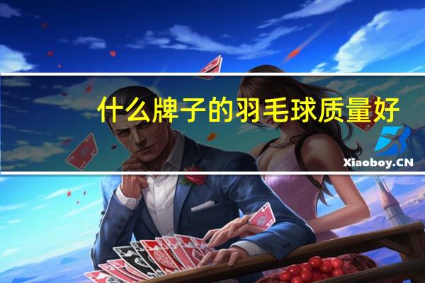 什么牌子的羽毛球质量好