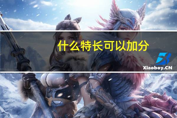 什么特长可以加分