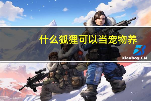 什么狐狸可以当宠物养