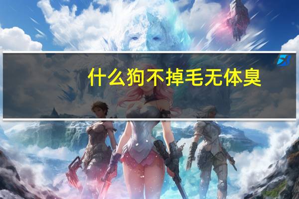 什么狗不掉毛无体臭