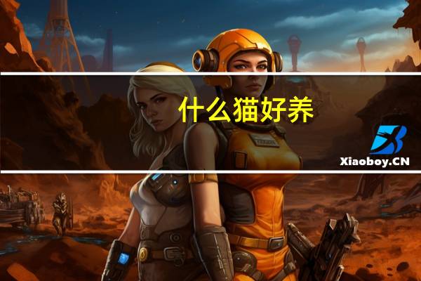 什么猫好养