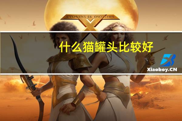 什么猫罐头比较好