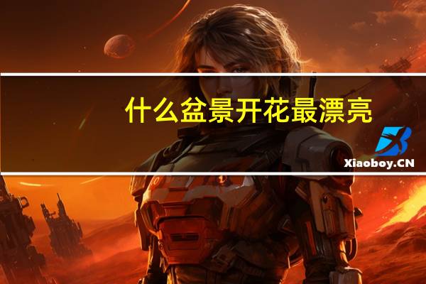 什么盆景开花最漂亮