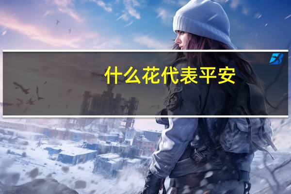 什么花代表平安