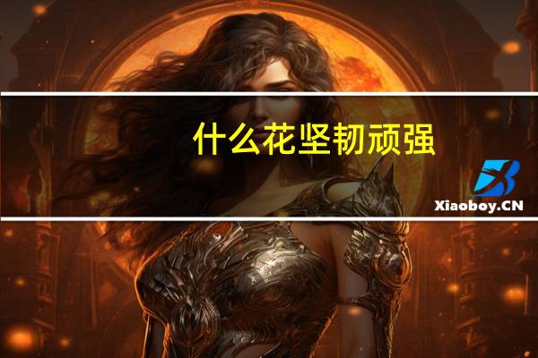 什么花坚韧顽强