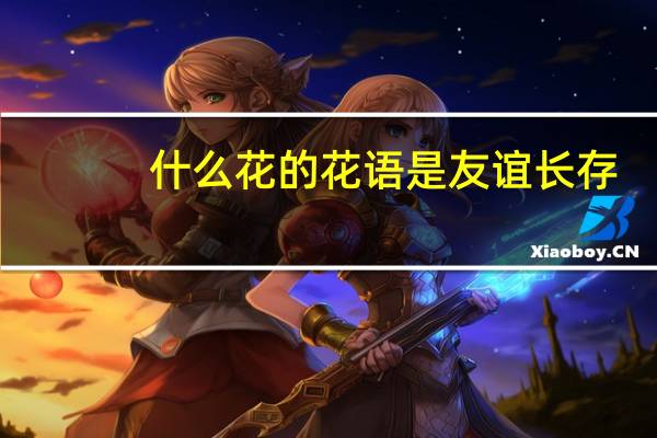 什么花的花语是友谊长存