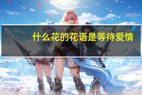 什么花的花语是等待爱情