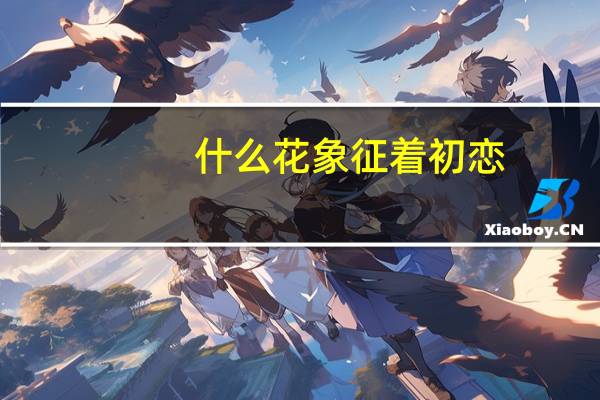 什么花象征着初恋