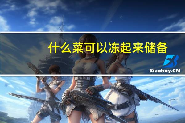 什么菜可以冻起来储备