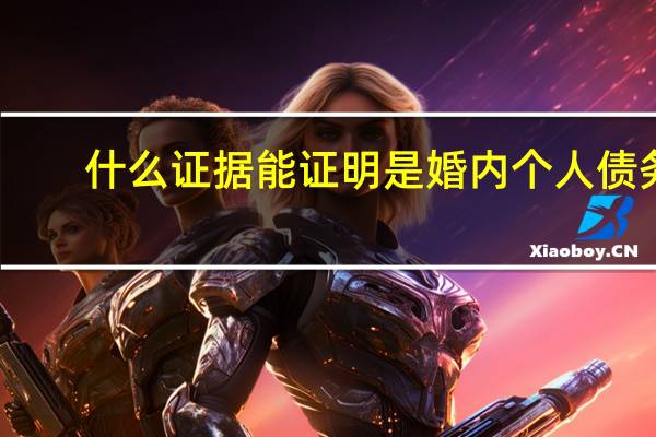 什么证据能证明是婚内个人债务