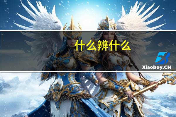 什么辨什么