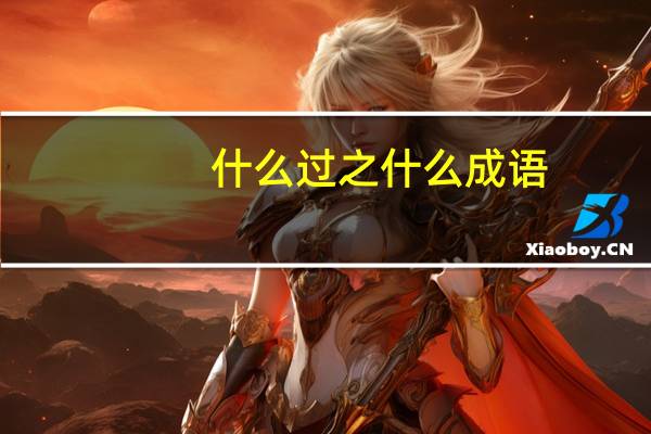 什么过之什么成语