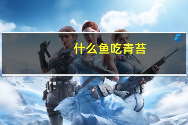 什么鱼吃青苔