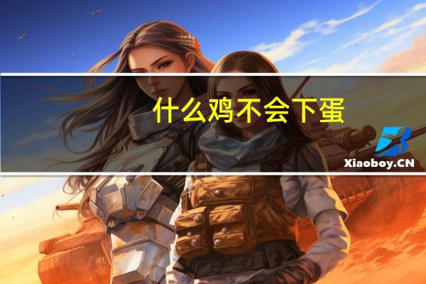 什么鸡不会下蛋