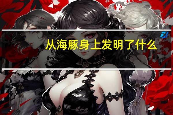 从海豚身上发明了什么
