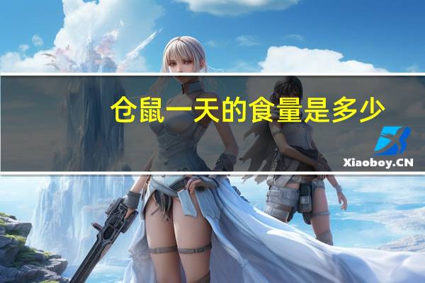 仓鼠一天的食量是多少