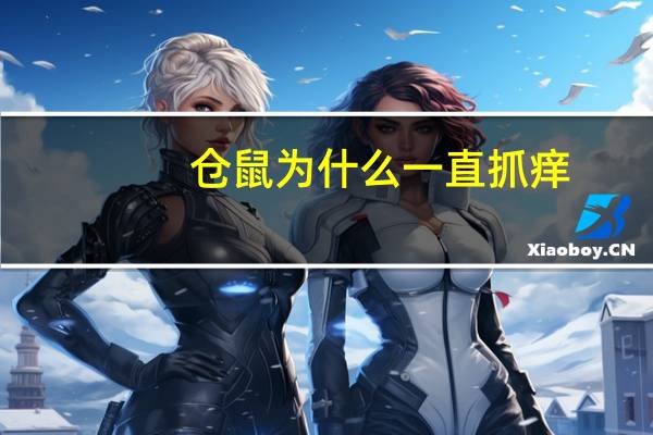 仓鼠为什么一直抓痒