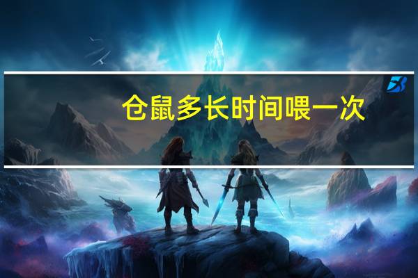 仓鼠多长时间喂一次