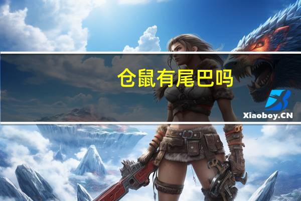 仓鼠有尾巴吗