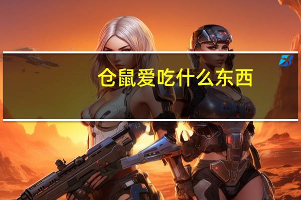 仓鼠爱吃什么东西