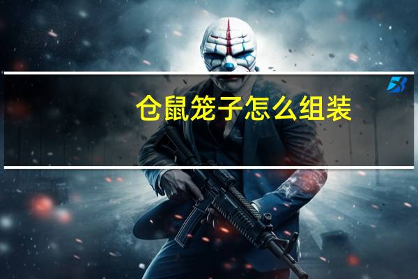 仓鼠笼子怎么组装