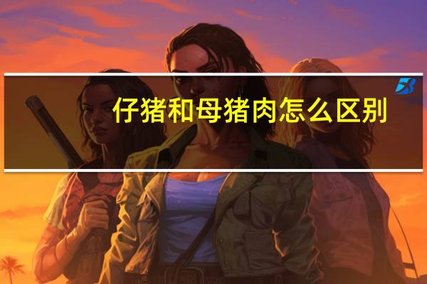 仔猪和母猪肉怎么区别