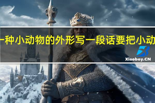 仔细观察一种小动物的外形写一段话要把小动物的外形写具体
