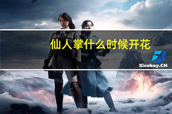 仙人掌什么时候开花