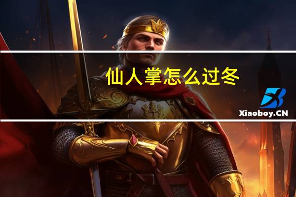 仙人掌怎么过冬