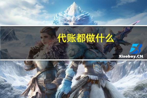 代账都做什么
