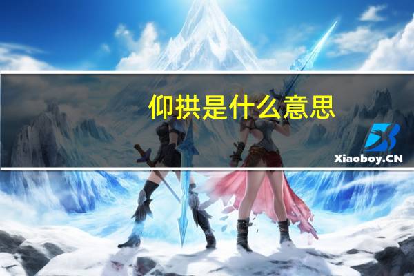 仰拱是什么意思