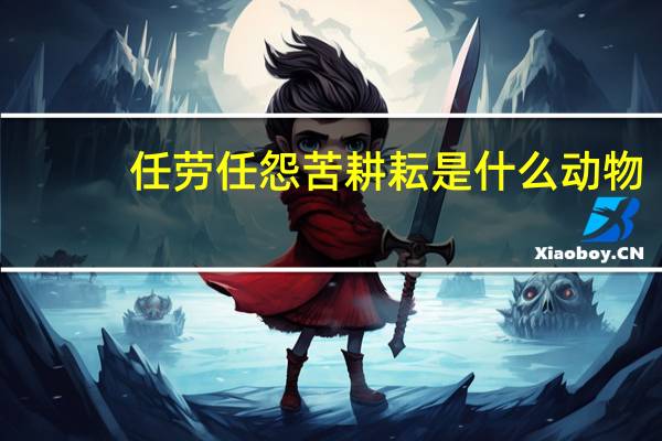 任劳任怨苦耕耘是什么动物