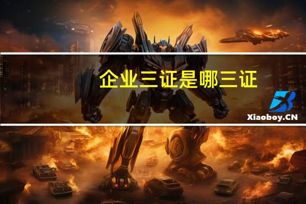 企业三证是哪三证