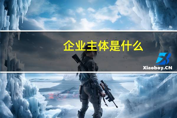 企业主体是什么
