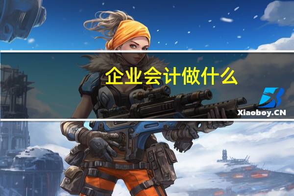 企业会计做什么