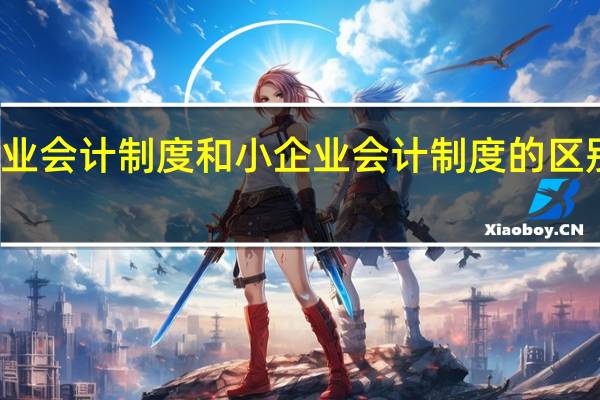企业会计制度和小企业会计制度的区别是什么