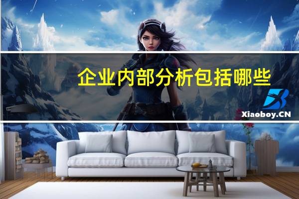 企业内部分析包括哪些