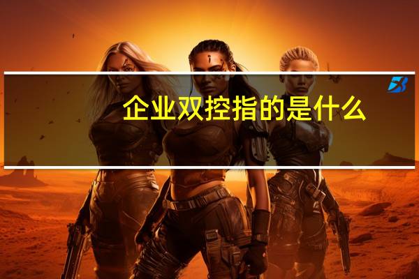 企业双控指的是什么