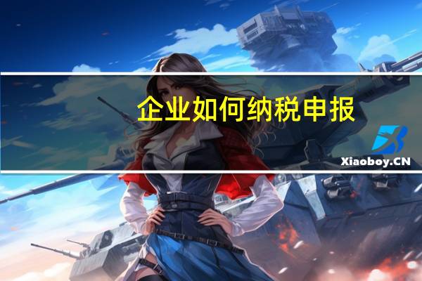 企业如何纳税申报