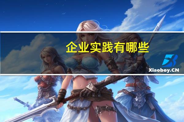 企业实践有哪些