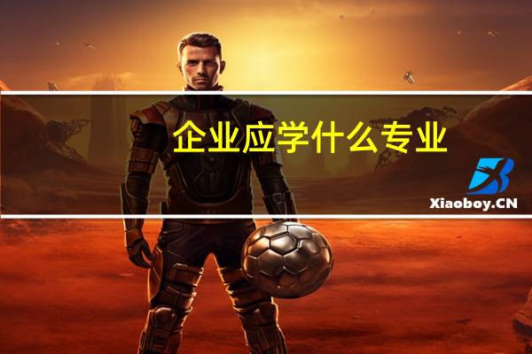 企业应学什么专业