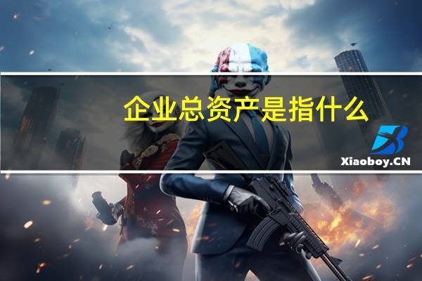 企业总资产是指什么