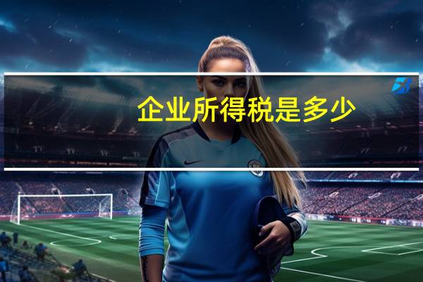 企业所得税是多少