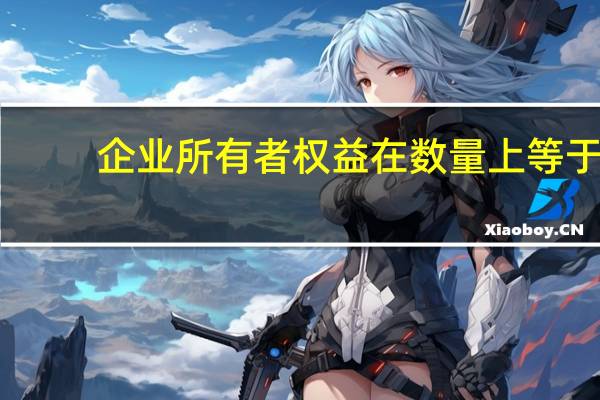 企业所有者权益在数量上等于