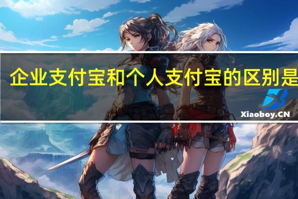企业支付宝和个人支付宝的区别是什么